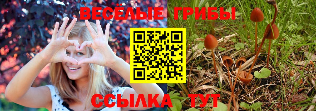 Галлюциногенные грибы ЛСД Джанкой